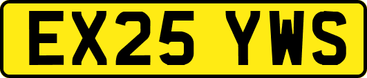 EX25YWS