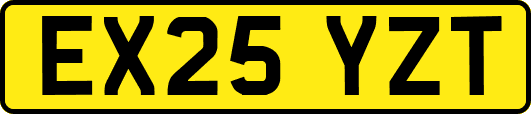EX25YZT