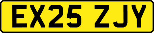 EX25ZJY