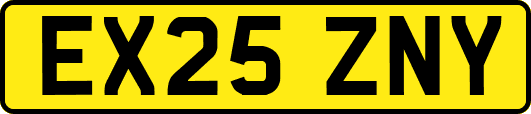 EX25ZNY