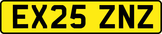 EX25ZNZ