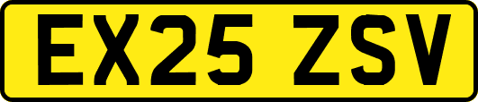 EX25ZSV