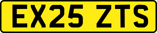 EX25ZTS