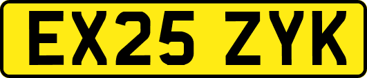 EX25ZYK