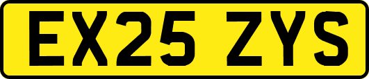 EX25ZYS