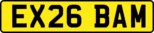 EX26BAM