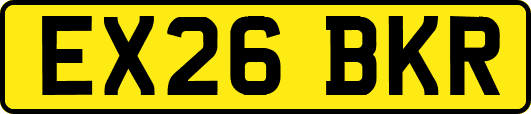 EX26BKR