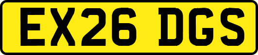 EX26DGS