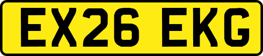 EX26EKG