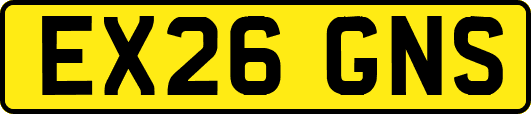 EX26GNS