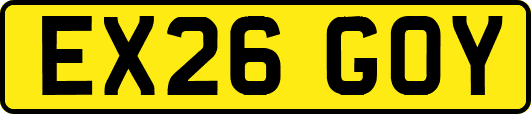 EX26GOY