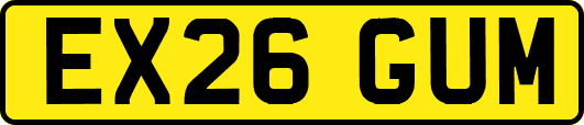 EX26GUM