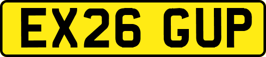 EX26GUP
