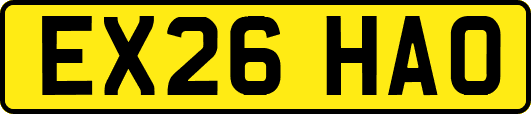 EX26HAO