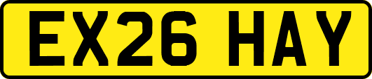 EX26HAY