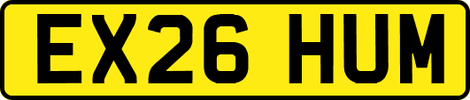 EX26HUM