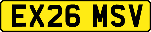 EX26MSV