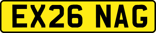EX26NAG
