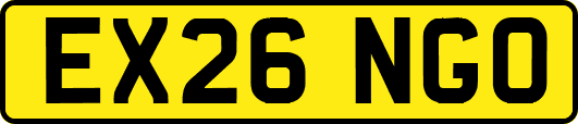 EX26NGO