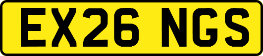 EX26NGS