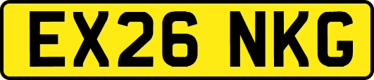 EX26NKG