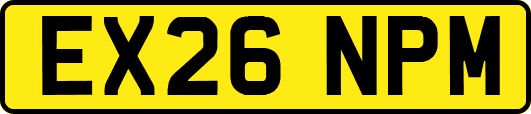 EX26NPM