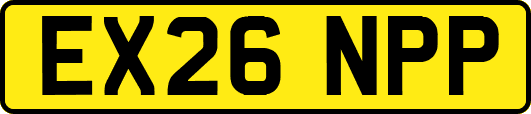 EX26NPP
