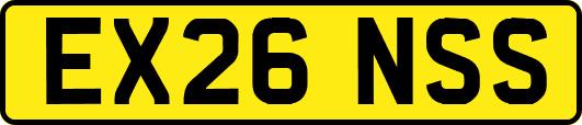 EX26NSS