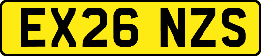 EX26NZS