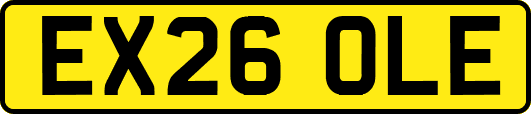 EX26OLE