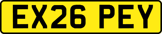 EX26PEY