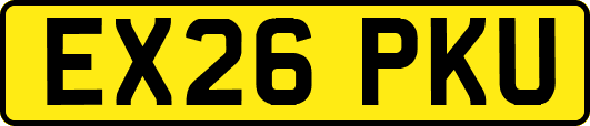 EX26PKU
