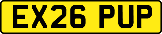 EX26PUP
