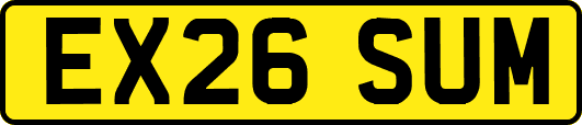 EX26SUM