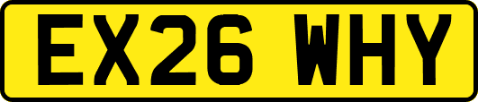 EX26WHY