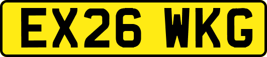 EX26WKG