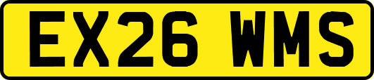 EX26WMS