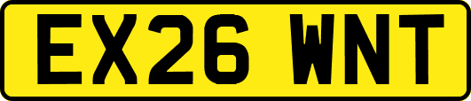 EX26WNT