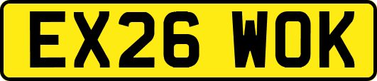 EX26WOK
