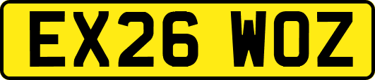 EX26WOZ
