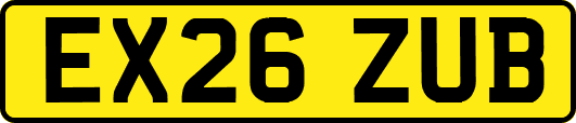 EX26ZUB