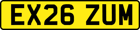 EX26ZUM