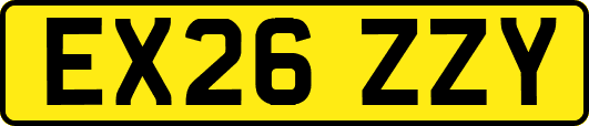 EX26ZZY