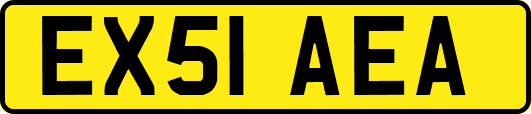 EX51AEA