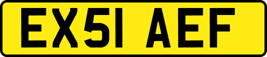 EX51AEF