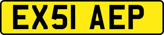 EX51AEP