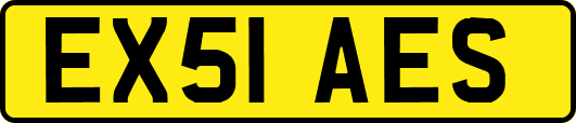 EX51AES