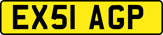 EX51AGP