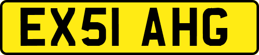 EX51AHG