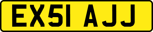 EX51AJJ